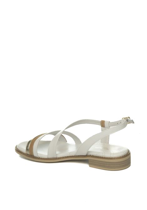  NERO GIARDINI | 513421BRILL-PLATINO